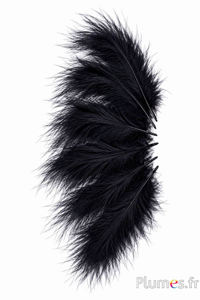 Kalkoen maraboe - 10-15 cm - zwart